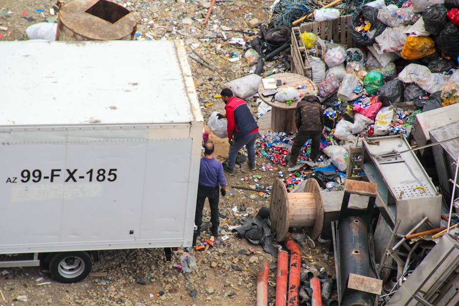 What to know about same day rubbish collection in Fitzrovia